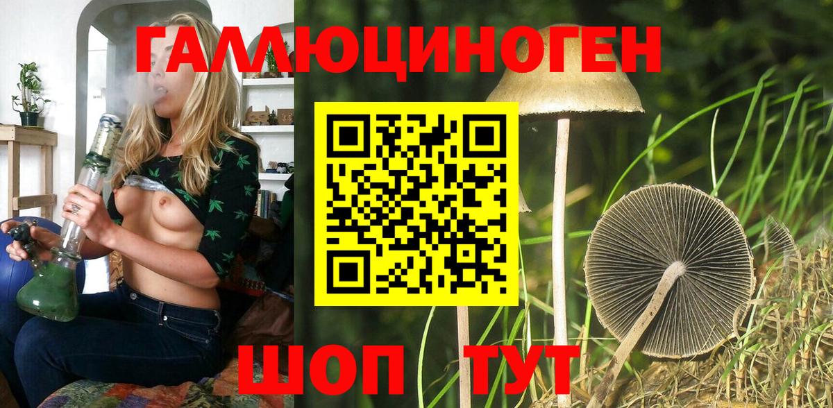 Новокузнецк  купить наркотики сайты  Вход с VPN  Псилоцибиновые грибы GOLDEN TEACHER  Псилоцибиновые грибы Psilocybe 