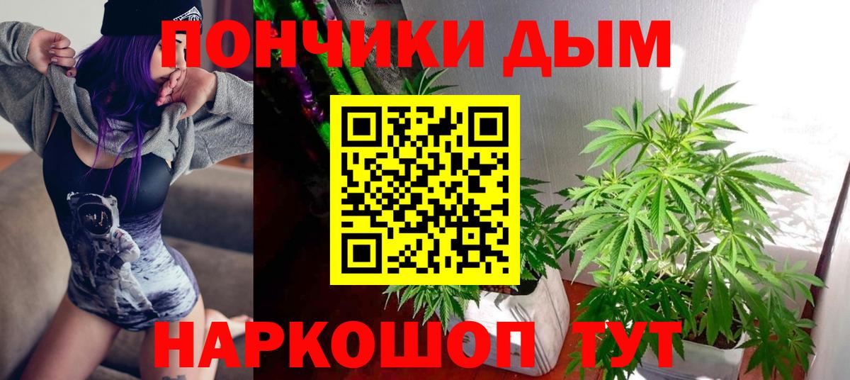 Канабис Новокузнецк